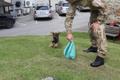 2-month-old Välk the Belgian shepherd is the first ever K9 service dog to join the Central Criminal Police in Estonia.