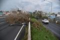 Orkaan Maria tagajärjed Puerto Ricos.