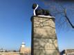 Шведский лев в Нарве.