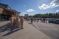 Взвод ESTPLA-27 отправился в Афганистан.
