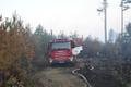 Пожар в лесу в Нарва-Йыэсуу.