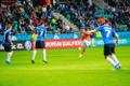 Jalgpalli EM-valikmäng: Eesti - Holland