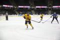 Jäähoki: Eesti - Leedu