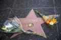 Kirk Douglase täht Hollywoodis