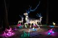Light sculptures at the 