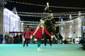 Tartu Christmas Village of Light opening on November 29.