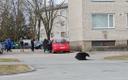 Storm damage on Saaremaa, March 26 2022.
