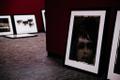 Выставка Сары Мун в Fotografiska.