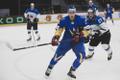 Jäähoki MM-i esimese divisjoni B-grupi turniir: Eesti - Ukraina