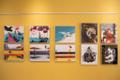 Estonian and Spanish illustrators' joint exhibition 