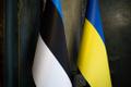 Флаги Эстонии и Украины.