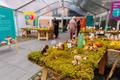 62nd Mushroom exhibition at the Estonian Museum of Natural History