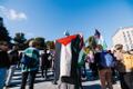Акция в поддержку Палестины.