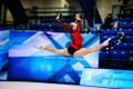 Eesti meistrivõistlused ilu- ja rühmvõimlemises 2. päev