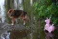 After heavy rain, summer houses in the Kudruküla area in Narva were flooded and some residents were evacuated on August 27, 2025.