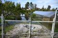 After heavy rain, summer houses in the Kudruküla area in Narva were flooded and some residents were evacuated on August 27, 2025.