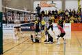 Võrkpalli naiste meistriliiga finaalseeria: Rae Spordikool/Viaston – TÜ/Bigbank