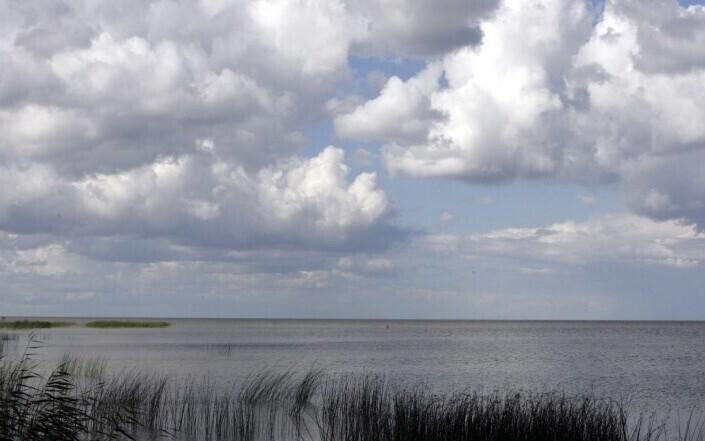 Much of Estonia's eastern border runs along Lakes Peipus, Lämmijärv and Pskov