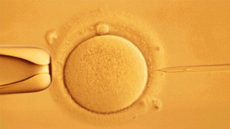 «Жизнь создает природа или бог», - сказал Сырица, выступая в программе