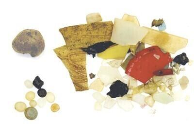 Ühe linnu kõhust leitud plastikjäärmed.