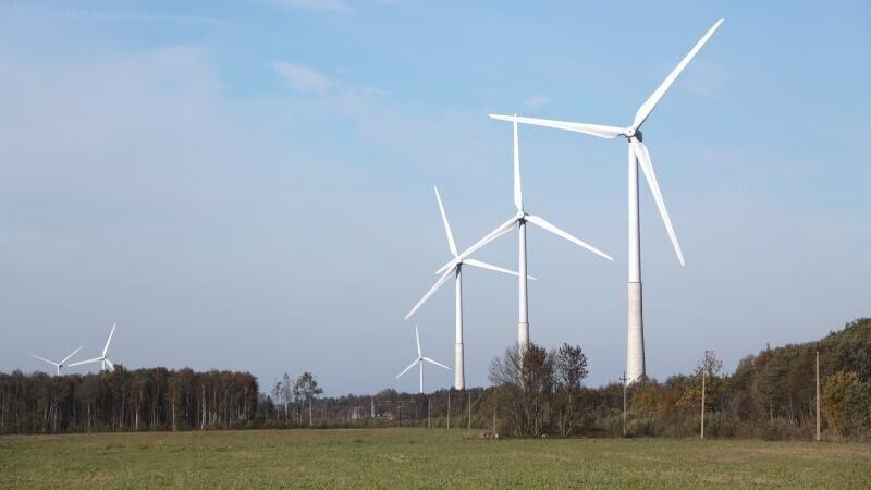 Иллюстративная фотография.