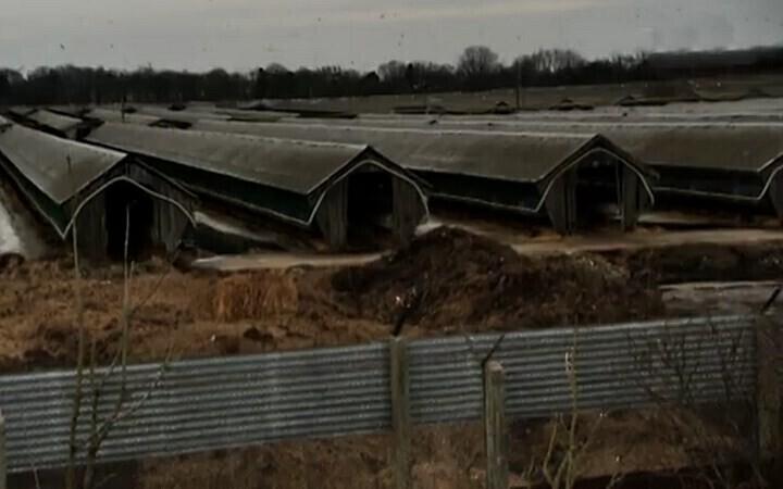 Звероводческая ферма в Карьякюла