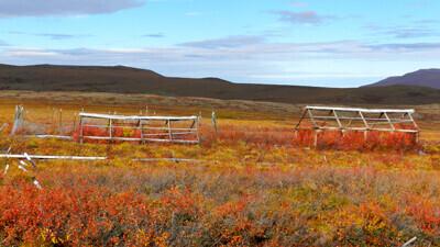 Kasvuhoone sügise keskpaigas.
