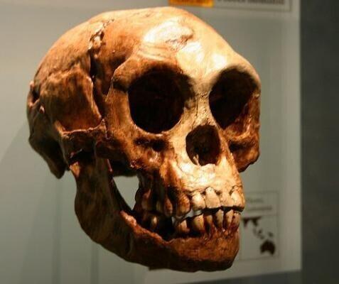 Kas Florese inimene oli omaette liik?