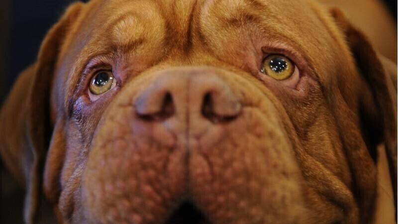 Иллюстративная фотография