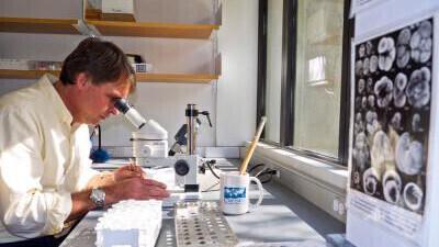 Analüüs põhines kambriliste kodade uurimisel.