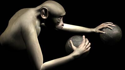 Foto: Duke'i neuroteadusekeskus