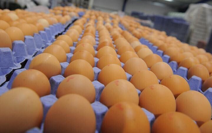 Иллюстративная фотография.