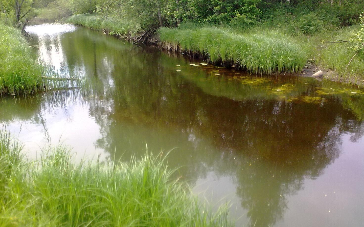 Kaevandusvee sissejooks looduslikku Ojamaa jõkke, mis on Purtse jõe parempoolne lisajõgi.