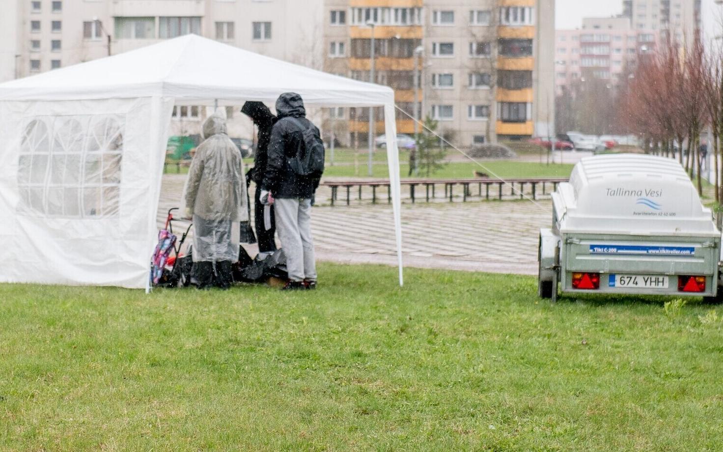 Участники толоки в Ласнамяэ в 2015 году.