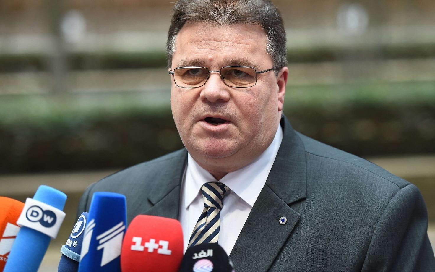 Министр иностранных дел Линас Линкявичюс.