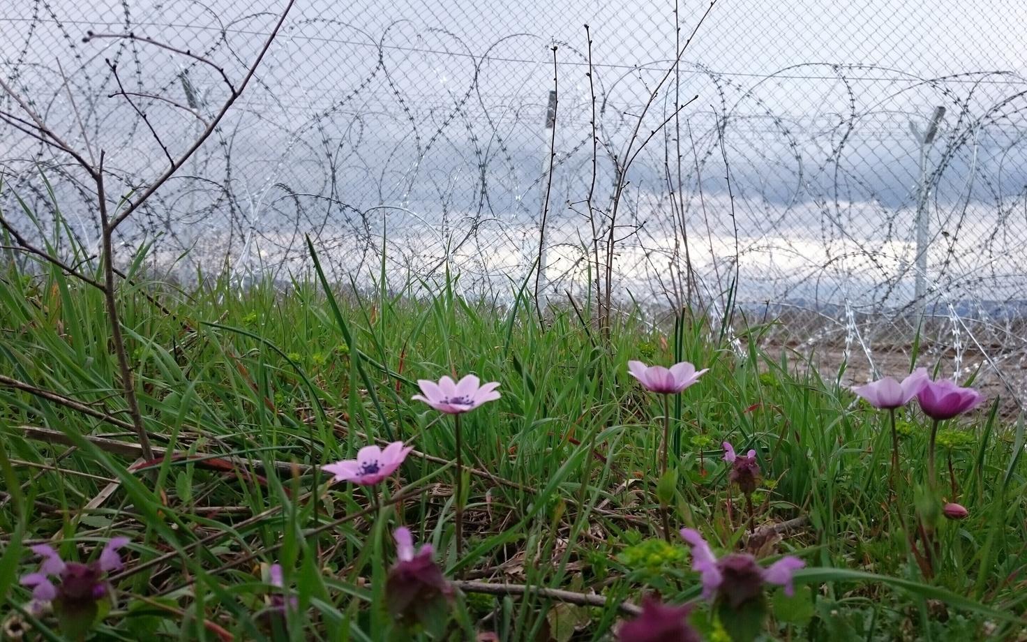 Idomeni refugee camp in Greece, March 2016.