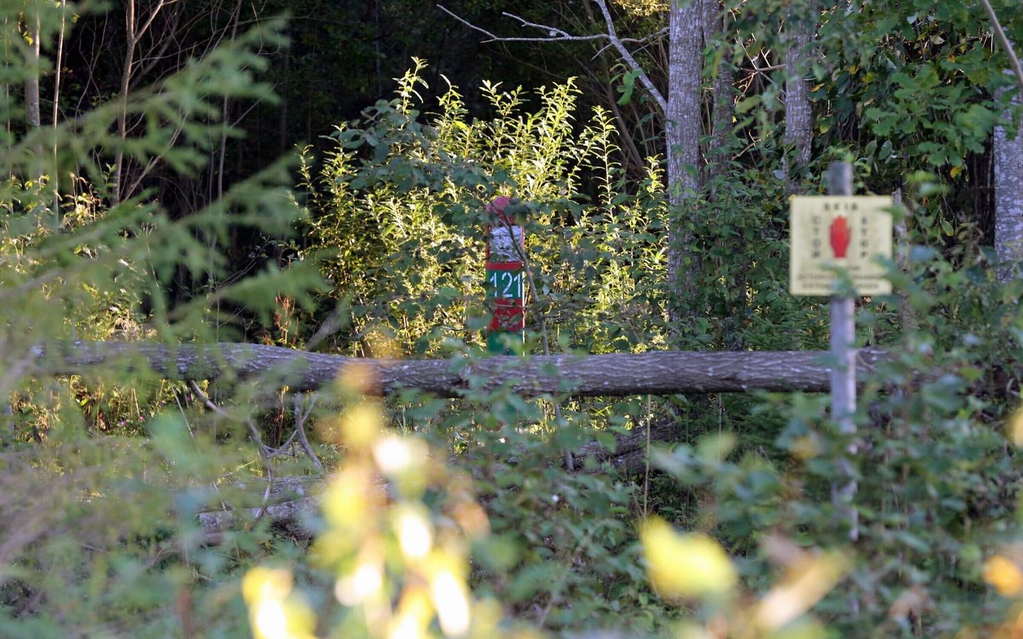 Signs marking the temporary border line between the Russian Federation and the Republic of Estonia in a forested area in Võru County.
