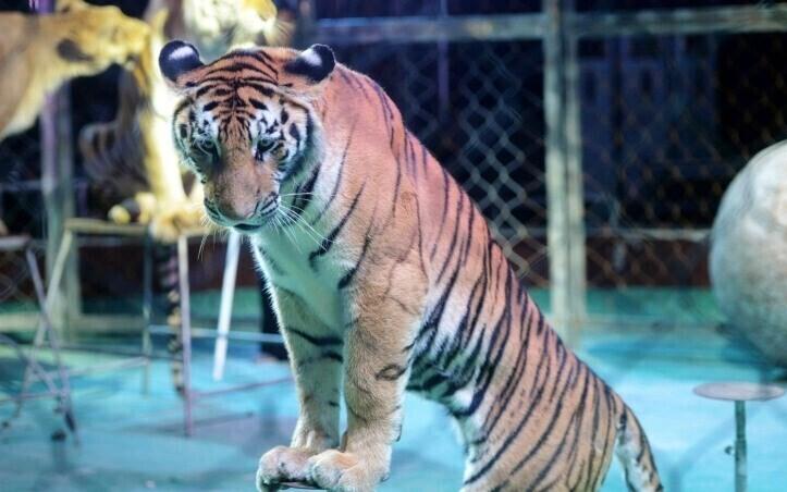 Иллюстративное фото.