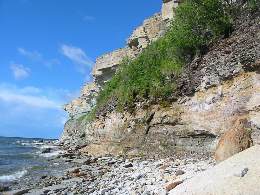 Balti klint Pakri poolsaarel.