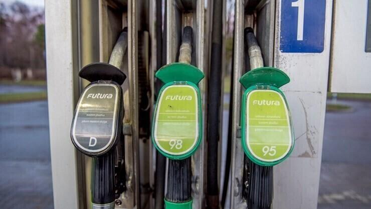 The EU directive calls for a share of biofuels in road transport energy of at least 10% by 2020.