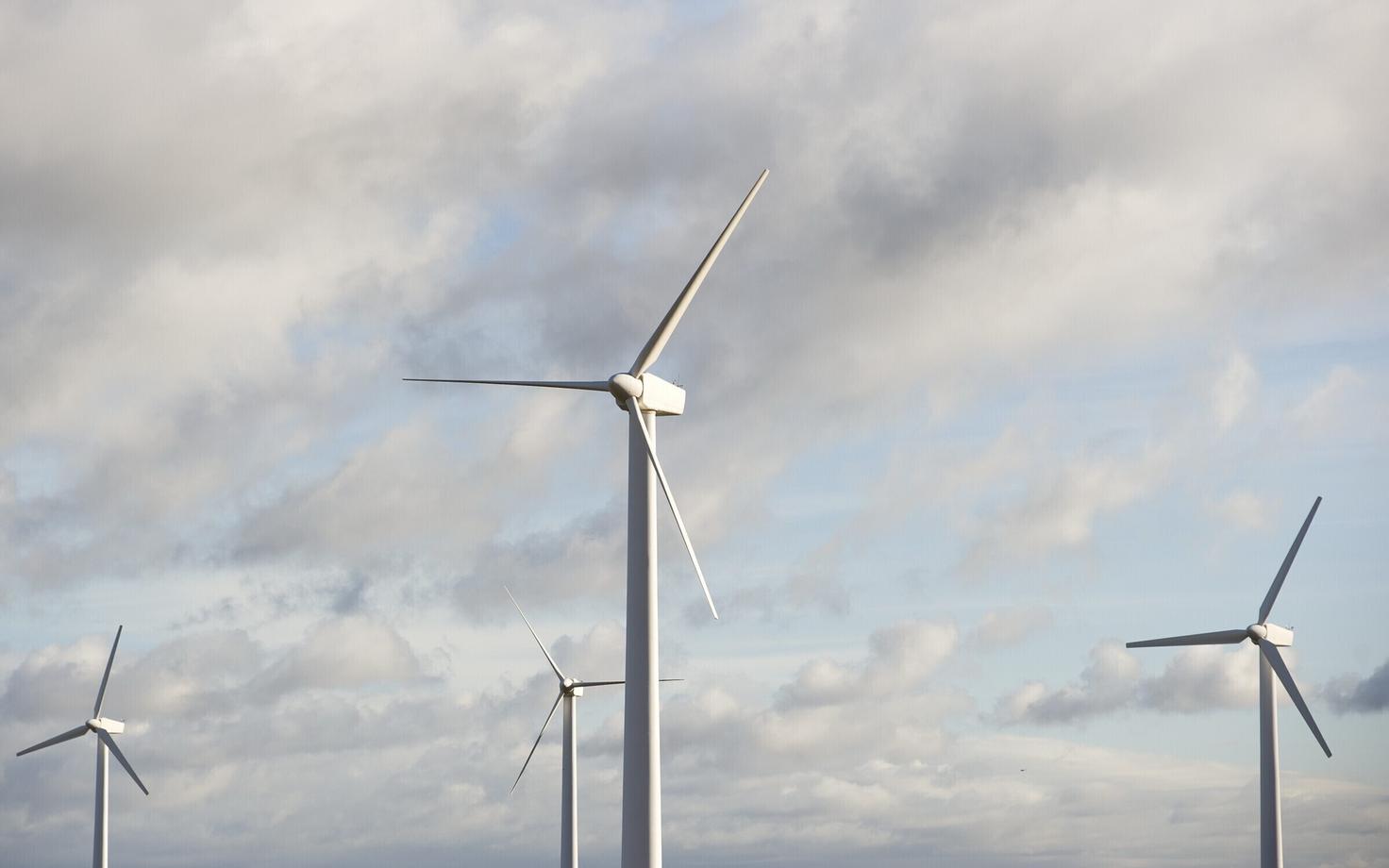 Иллюстративная фотография.