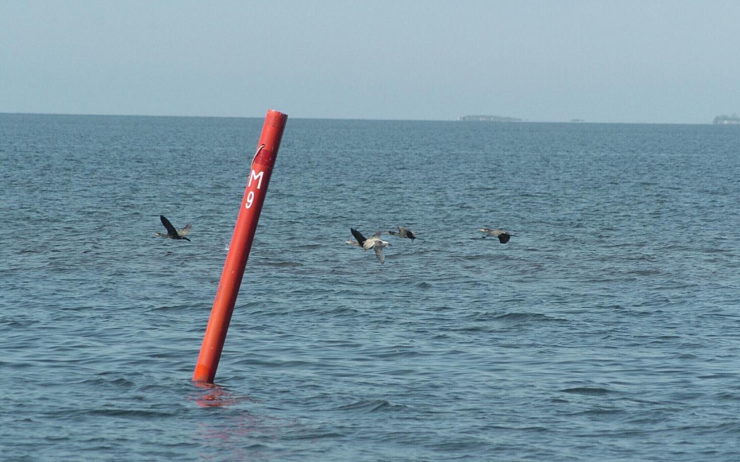 Buoys will be installed along the water border separating Estonia from Russia. Photo is illustrative.
