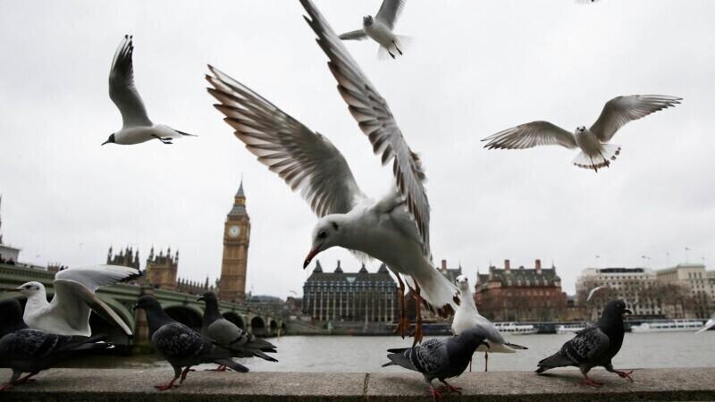 Парламент Великобритании был распущен в ночь на 3 мая.