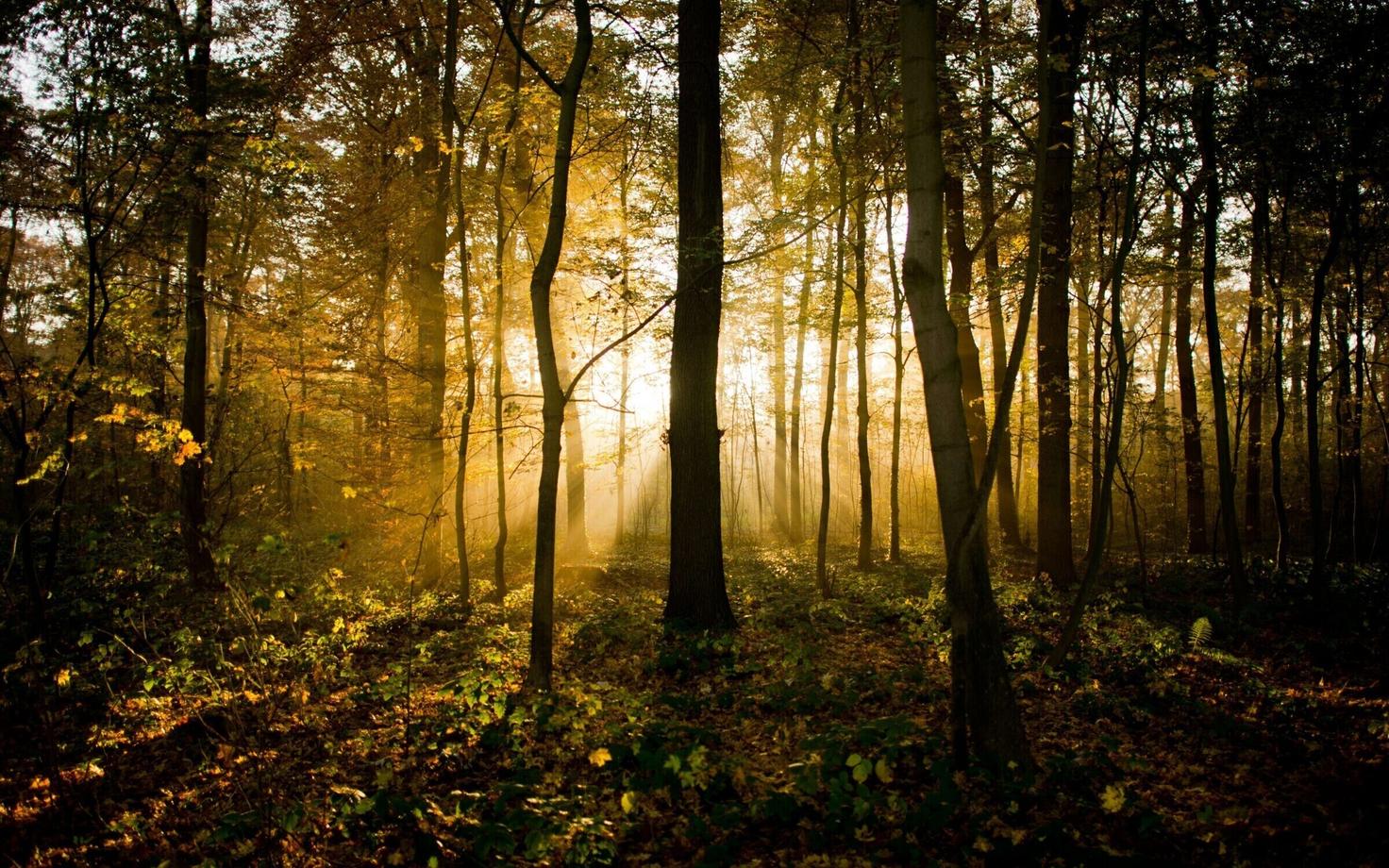 Nädal toob sooja ja päikest.