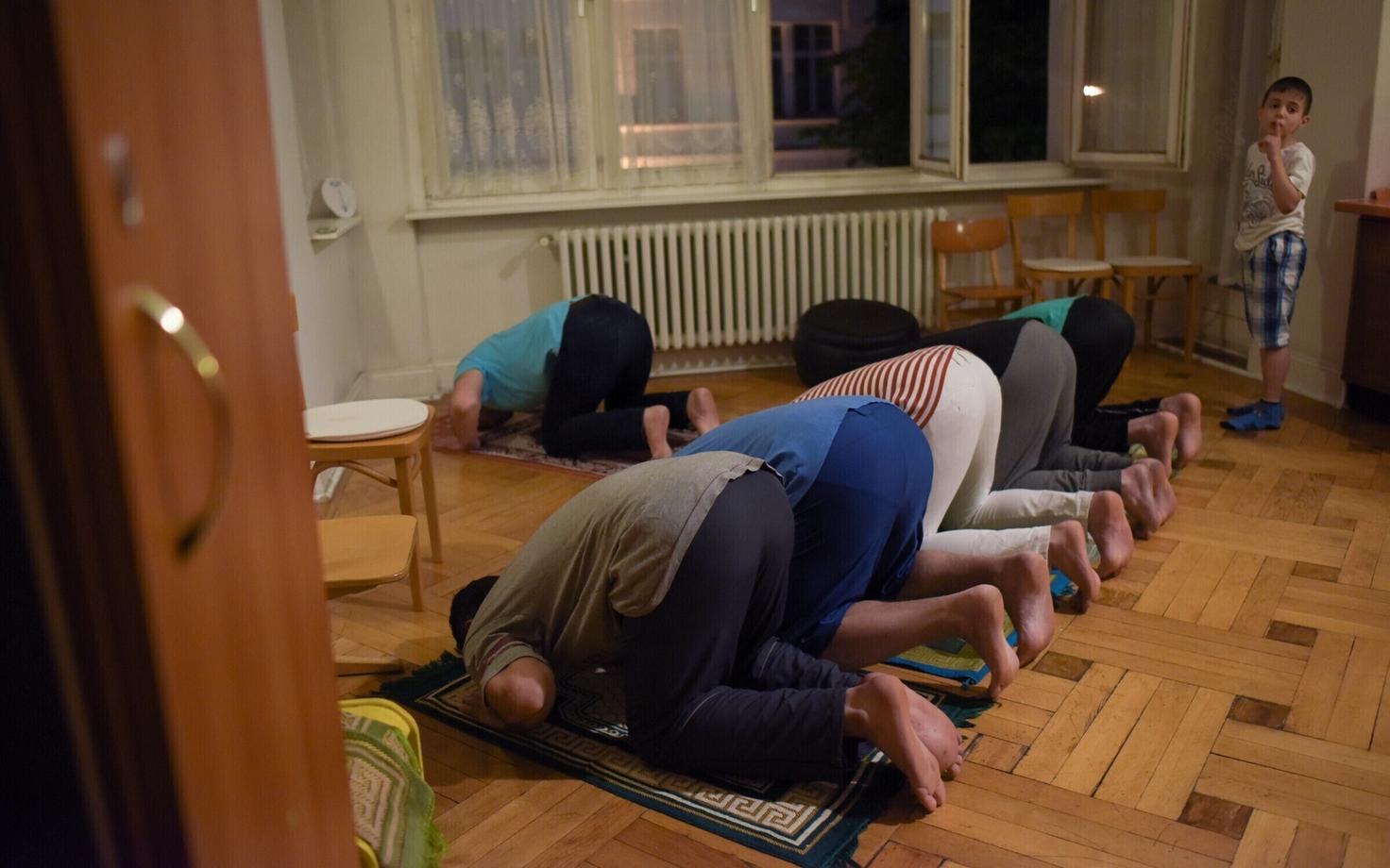 Беженцы в Германии.