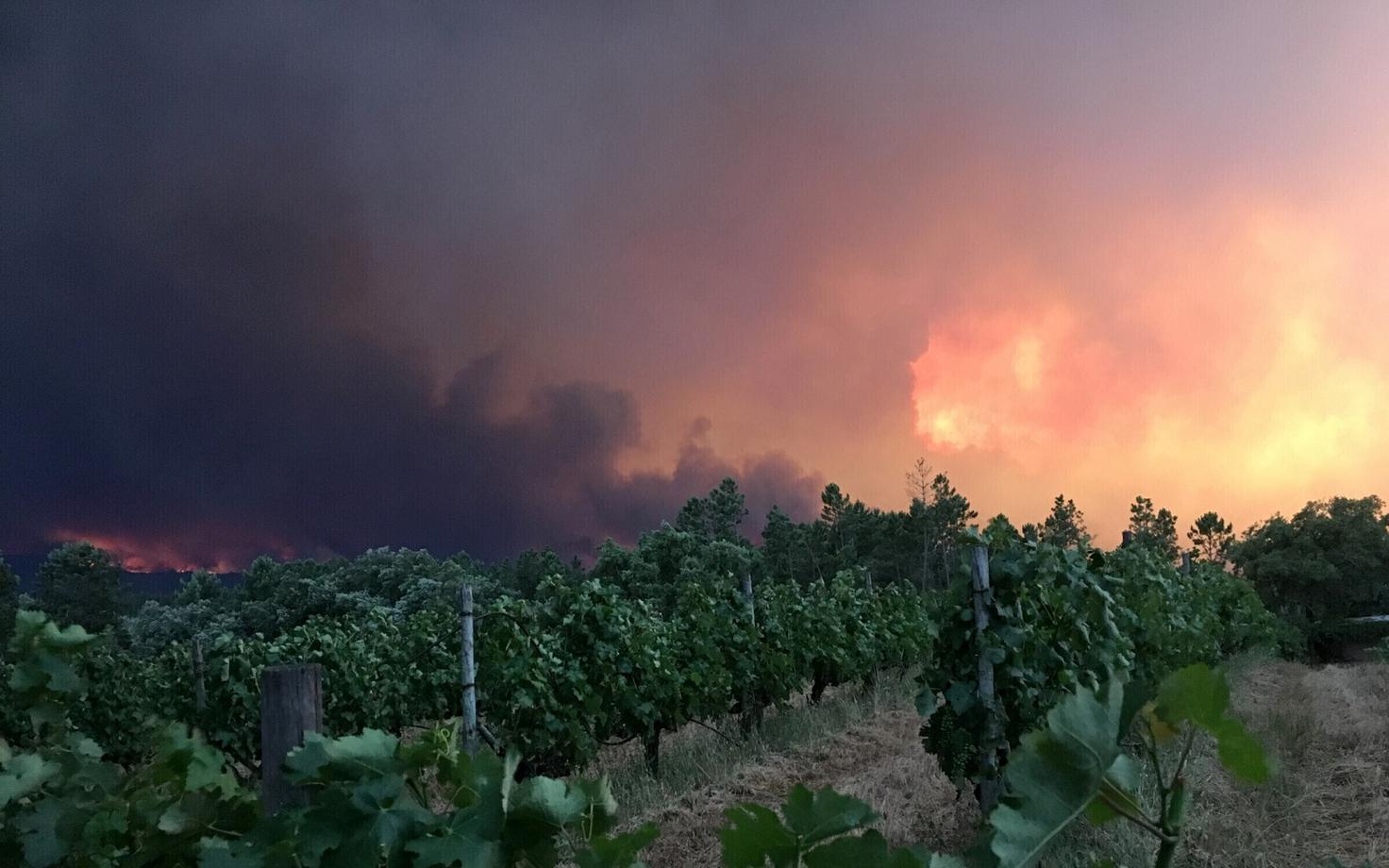 Лесные пожары в Португалии.