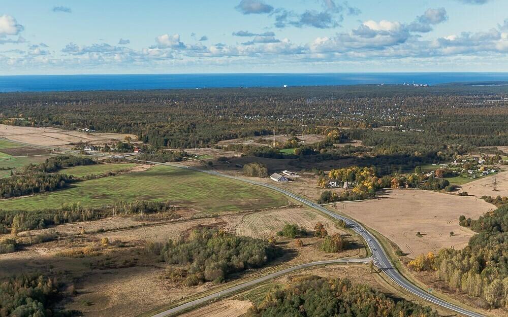 Северо-Восток Эстонии. Иллюстративная фотография.