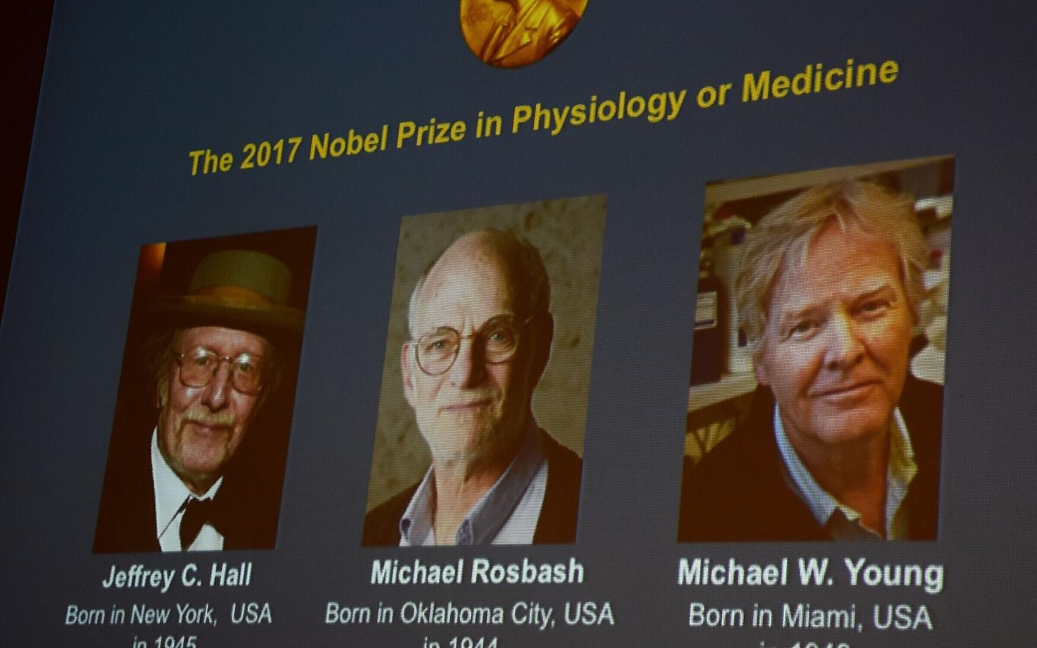 Jeffrey Hall, Michael Rosbash ja Michael W. Young