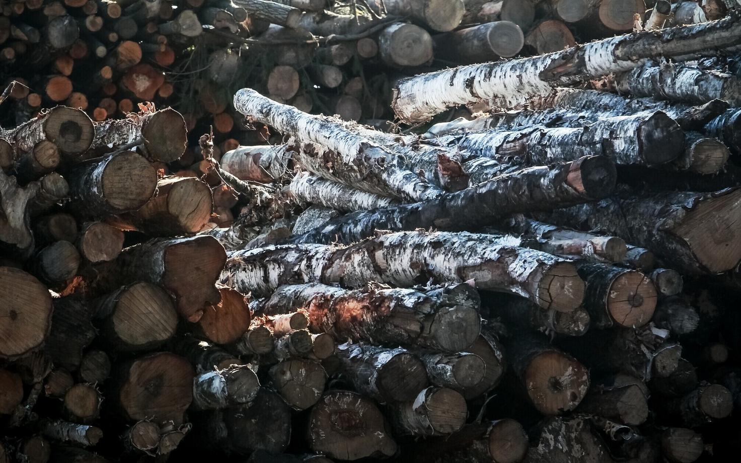 Иллюстративное фото.