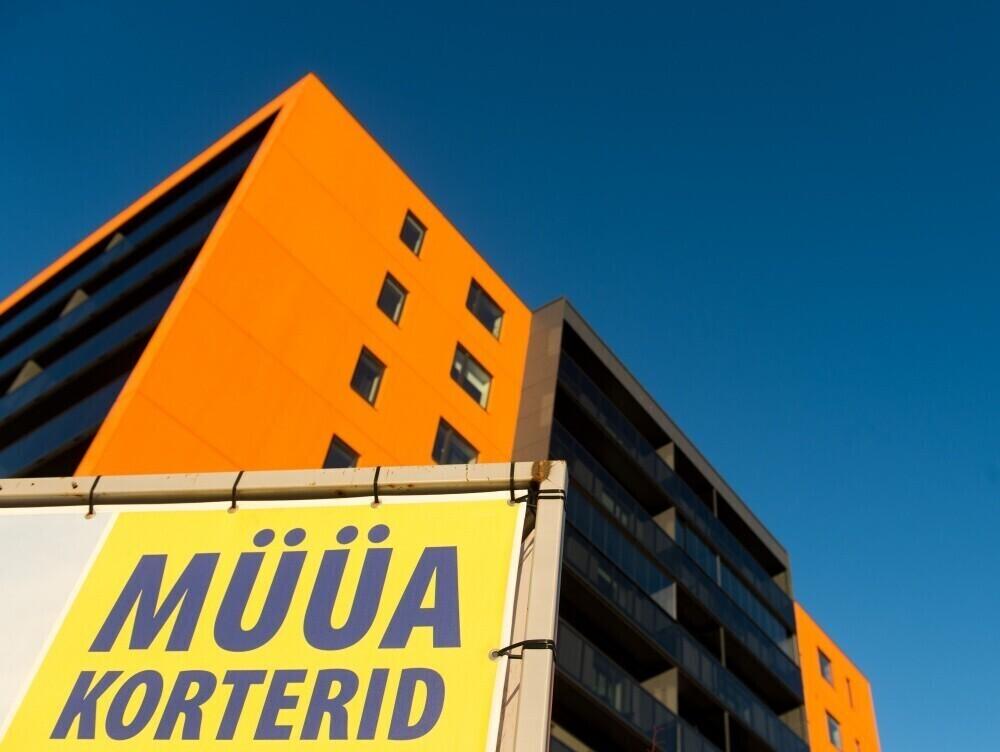 Новые жилые дома в Таллинне растут, как грибы после дождя.